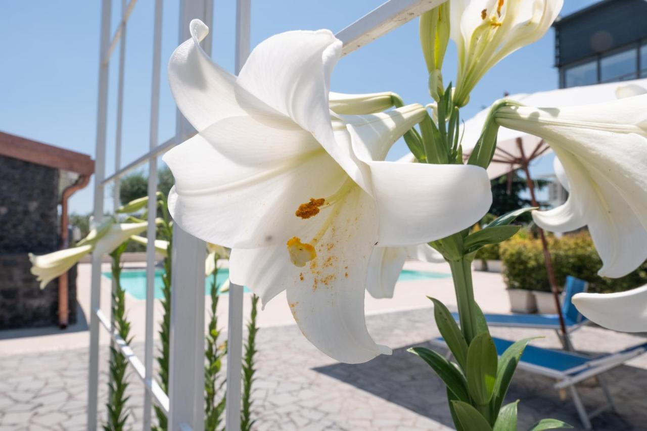 Lux Suite Sicily Mascalucia Zewnętrze zdjęcie